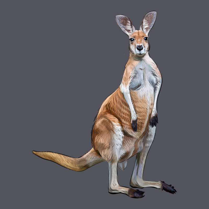 Kangaroo Vintage Hoodie by LillyAllenDesigns | Teevron