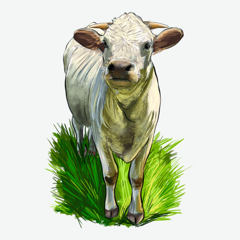 Charolais Heifer Urban Heavy Tee by LillyAllenDesigns | Teevron