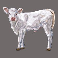 Charolais Calf Urban Heavy Tee | Teevron