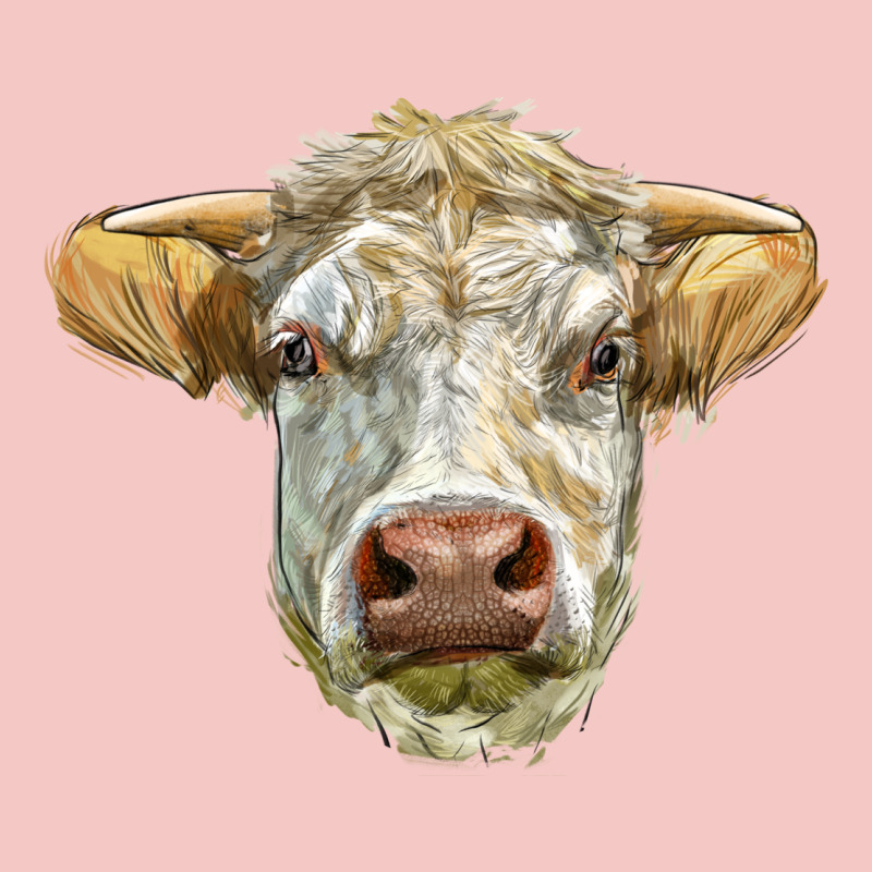 Charolais Bull Face Urban Heavy Tee by LillyAllenDesigns | Teevron
