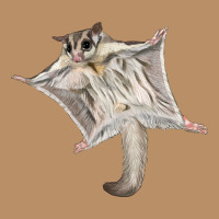 Sugar Glider Vintage Hoodie | Teevron