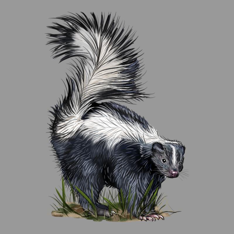 Skunk Vintage Hoodie by LillyAllenDesigns | Teevron