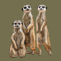 3 Meerkat Vintage Hoodie | Teevron