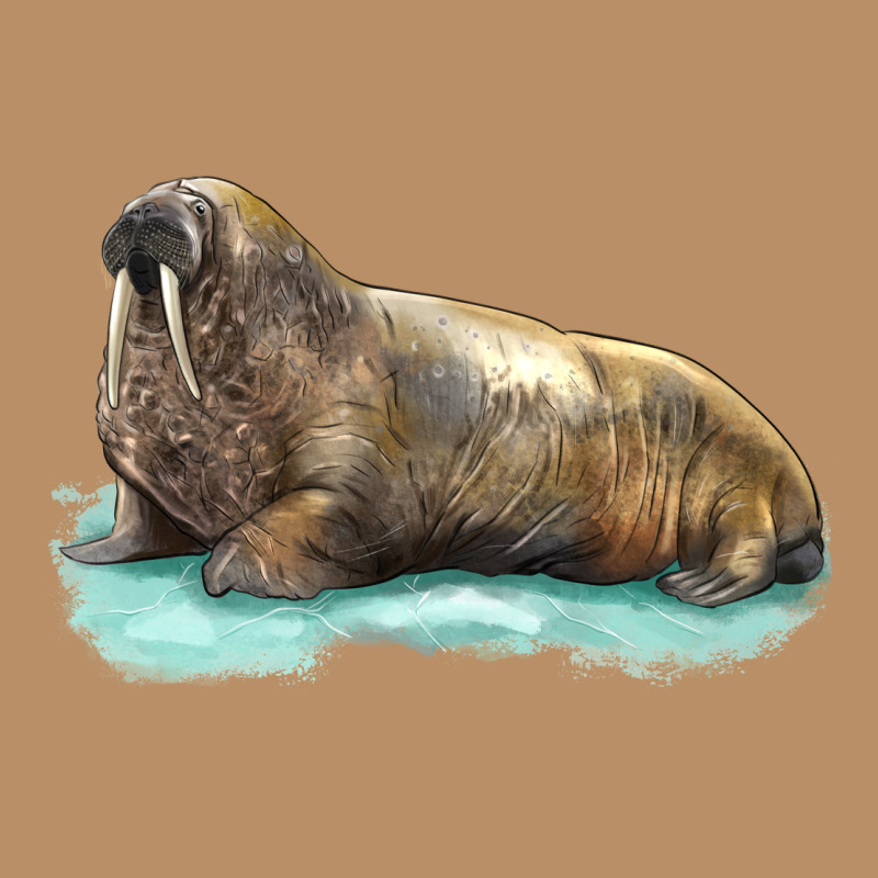 Walrus Vintage Hoodie by LillyAllenDesigns | Teevron