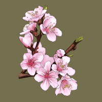 Peach Blossom Vintage Hoodie | Teevron