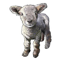 southdown baby sheep | Teevron