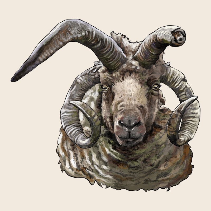 Navajo Churro Sheep Head Zipper Hoodie by LillyAllenDesigns | Teevron