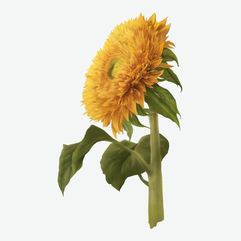 Teddy Bear Sunflower Urban Heavy Tee by LillyAllenDesigns | Teevron