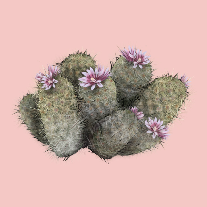 Cob Beehive Cactus Urban Heavy Tee by LillyAllenDesigns | Teevron