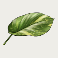 Golden Pothos Leaf Zipper Hoodie | Teevron