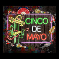 Cinco De Mayo Cactus Tumbler 3 Ladies Tee | Teevron