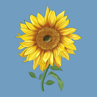 Bambino Sunflower Urban Heavy Tee | Teevron