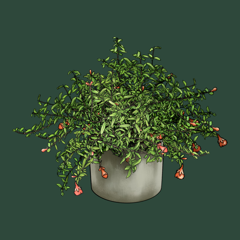 Dwarf Pomegranate Tree Illustrations Zipper Hoodie by LillyAllenDesigns | Teevron