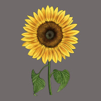 Giganteus Sunflower Urban Heavy Tee | Teevron