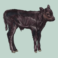 Black Angus Calf Illustrations Zipper Hoodie | Teevron