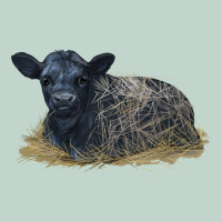 Black Angus Calf Illustrations Zipper Hoodie | Teevron
