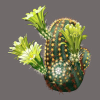 Nylon Hedgehog Cactus Urban Heavy Tee | Teevron