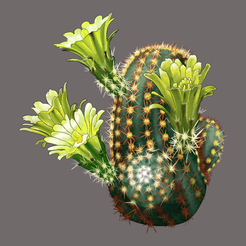 Nylon Hedgehog Cactus Urban Heavy Tee by LillyAllenDesigns | Teevron