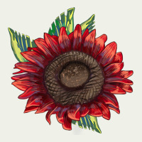 Procut Red Sunflower Urban Heavy Tee | Teevron