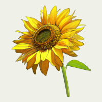 Sunflower Urban Heavy Tee | Teevron