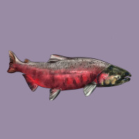 Chinook Salmon Fish Illustrations Classic Tee | Teevron