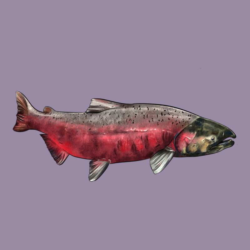 Chinook Salmon Fish Illustrations Classic Tee by LillyAllenDesigns | Teevron