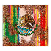 mexican flag serape | Teevron