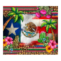 mexico and puerto rico | Teevron