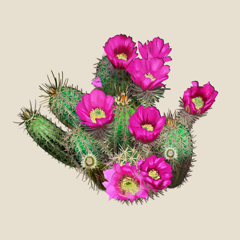 Strawberry Hedgehog Cactus Urban Heavy Tee by LillyAllenDesigns | Teevron