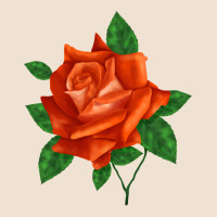 Tropicana Rose Urban Heavy Tee | Teevron