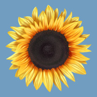 Treetops Sunflower Urban Heavy Tee | Teevron