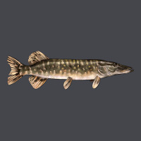 Northern Pike Fish Illustrations Classic Tee | Teevron