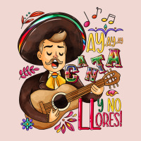 Ay, Ay, Ay Canta Y No Llores! Premium Sweatshirt | Teevron