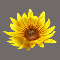 Maximillian Perennial Sunflower Urban Heavy Tee | Teevron