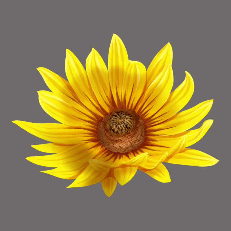 Maximillian Perennial Sunflower Urban Heavy Tee by LillyAllenDesigns | Teevron