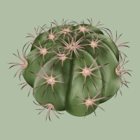 Eagle Claws Cactus Urban Heavy Tee | Teevron