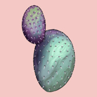 Opunthia Santa Rita Cactus Urban Heavy Tee | Teevron