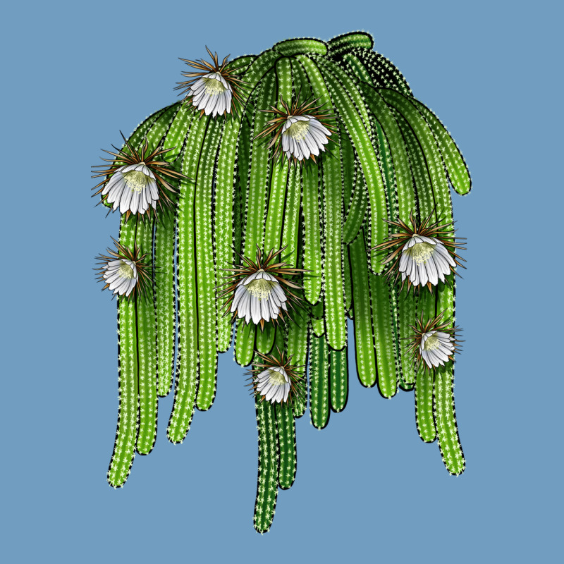 Selenicereus Cactus Urban Heavy Tee by LillyAllenDesigns | Teevron