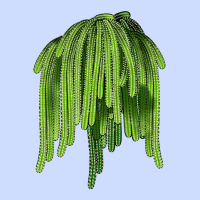 Selenicereus Cactus Urban Heavy Tee | Teevron