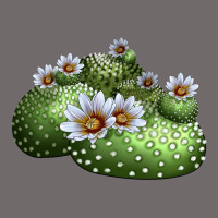 Blossfeldia Cactus Urban Heavy Tee | Teevron