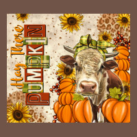 Fall Hay There Pumpkin Premium Sweatshirt | Teevron