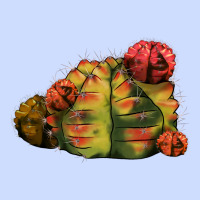 Gymnocalycium Variegated Cactus Urban Heavy Tee | Teevron
