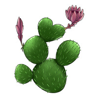 heart cactus | Teevron