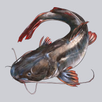 Catfish Illustrations Classic Tee | Teevron