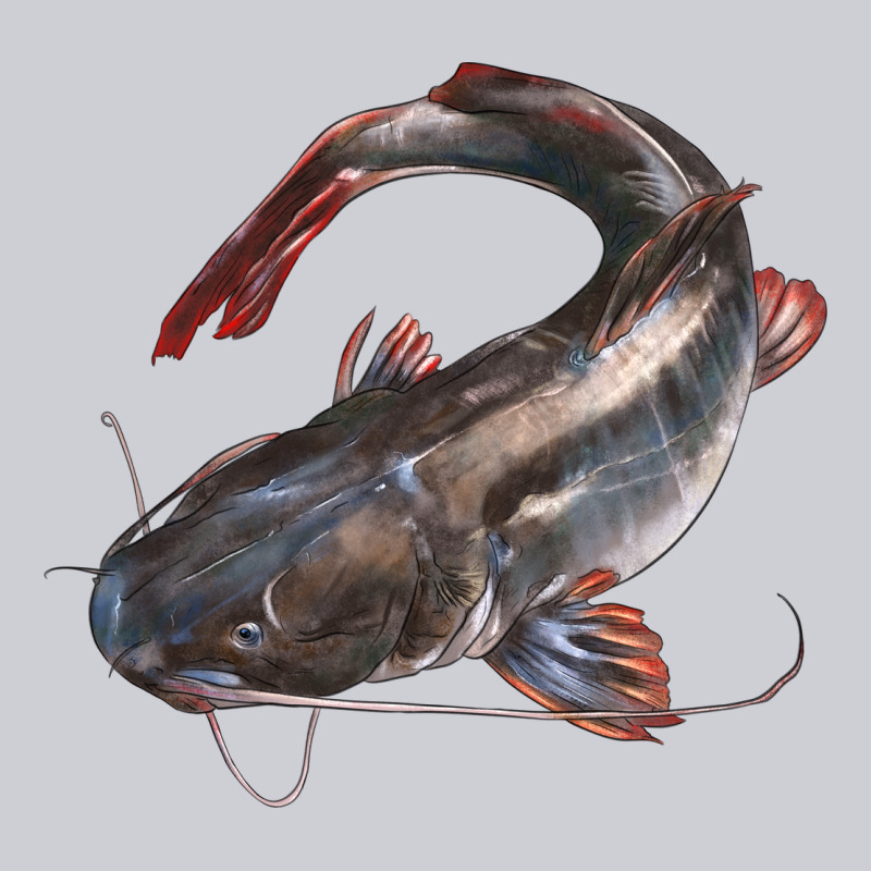 Catfish Illustrations Classic Tee by LillyAllenDesigns | Teevron