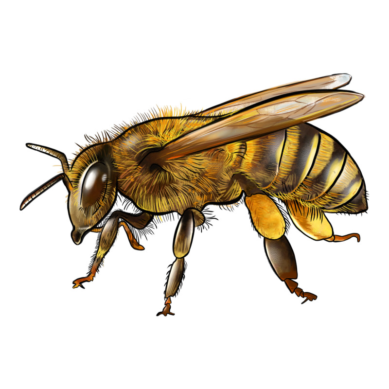 Bee Side Urban Heavy Tee by LillyAllenDesigns | Teevron