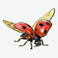 Ladybug Flying Urban Heavy Tee | Teevron