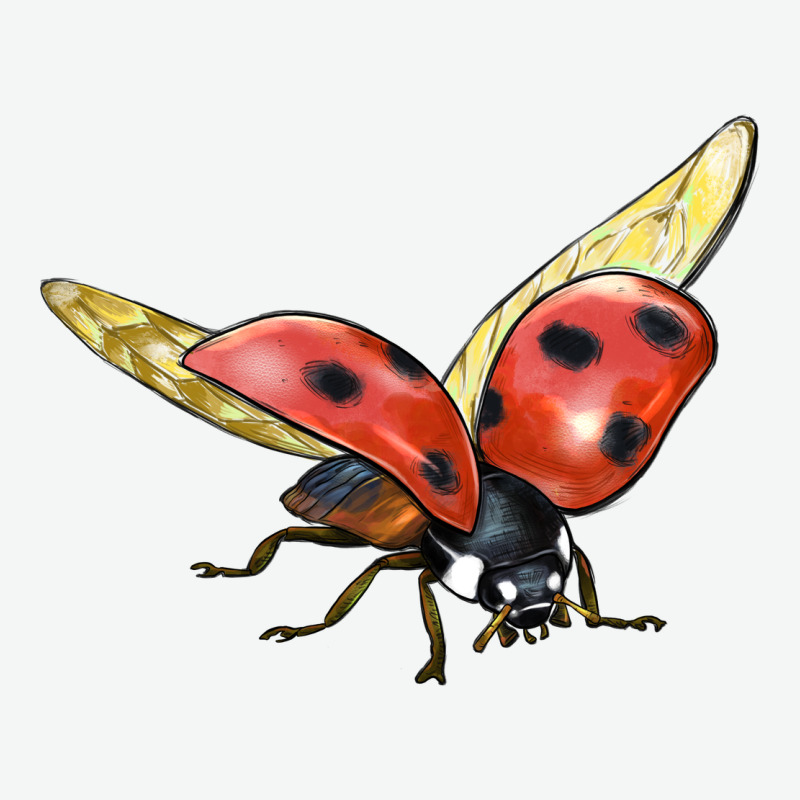 Ladybug Flying Urban Heavy Tee by LillyAllenDesigns | Teevron