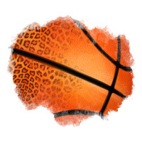 Leopard Basketball Patch Urban Heavy Tee | Teevron