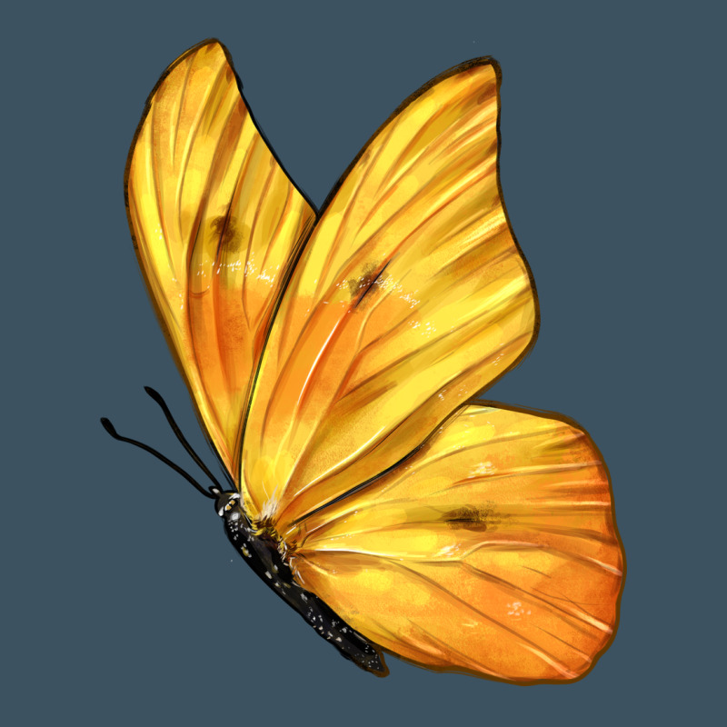 Flying Cloudless Sulphur Butterfly Urban Heavy Tee by LillyAllenDesigns | Teevron